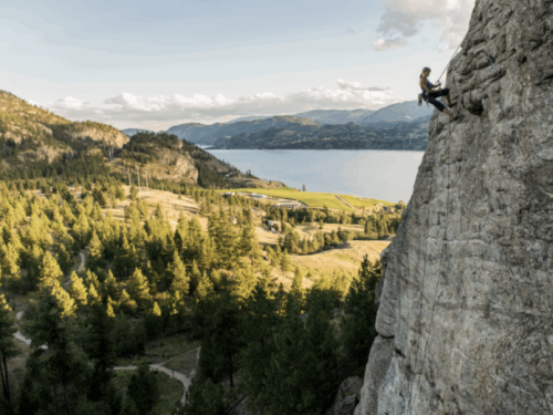 Screenshot 2025-05-08 at 1.53.21 PM